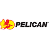 Pelican